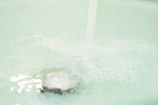 Blocked Drains Cleaning, Walthamstow, E17